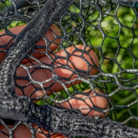 Preston Innovations Monster XS Lift Nets